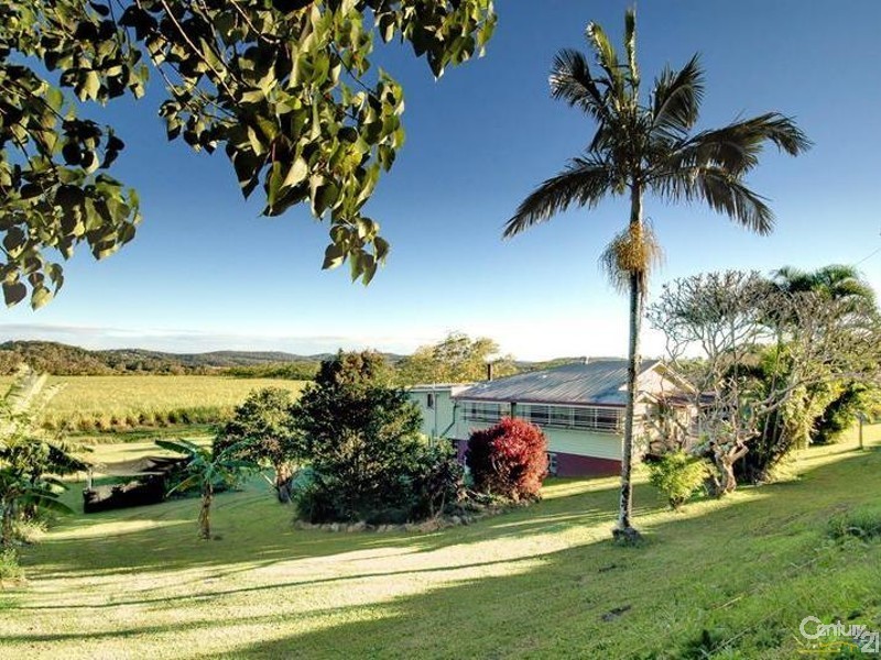 Maroochy River QLD 4561