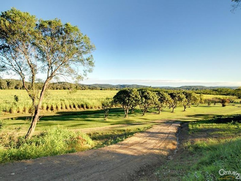 Maroochy River QLD 4561