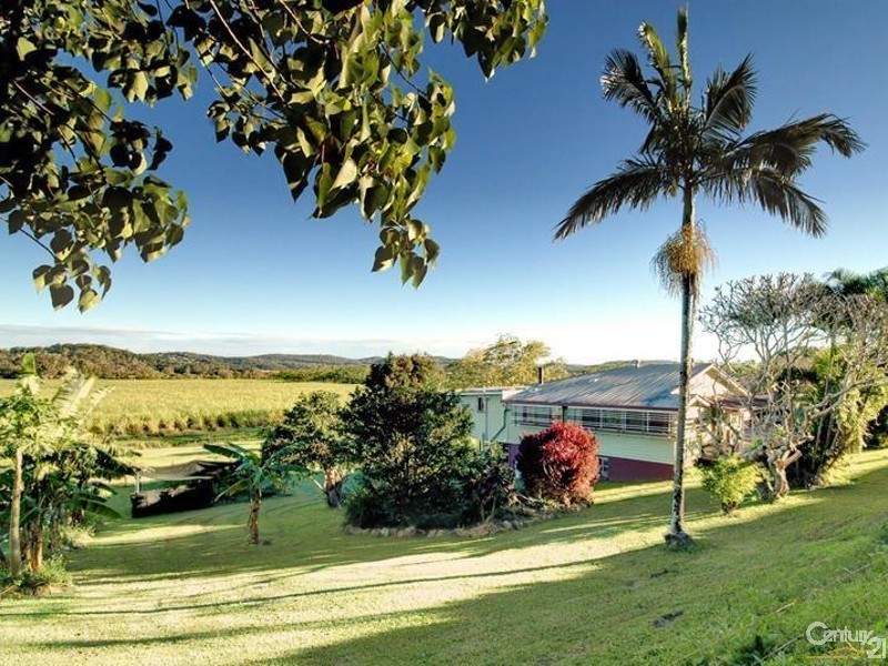 Maroochy River QLD 4561