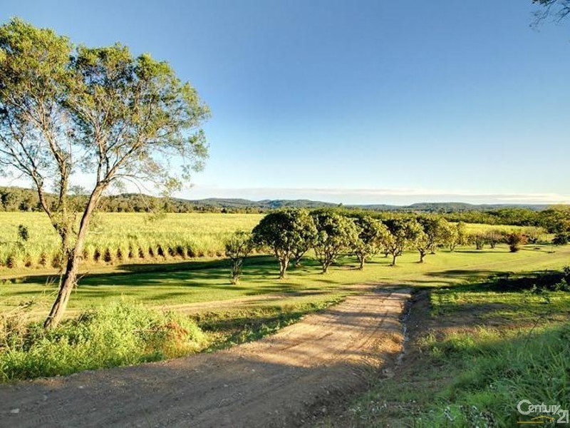 Maroochy River QLD 4561