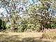 Coomera QLD 4209