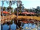 Maudsland QLD 4210