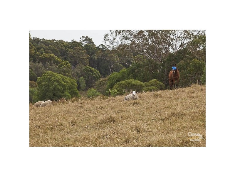 34 Giles Road, Redland Bay QLD 4165