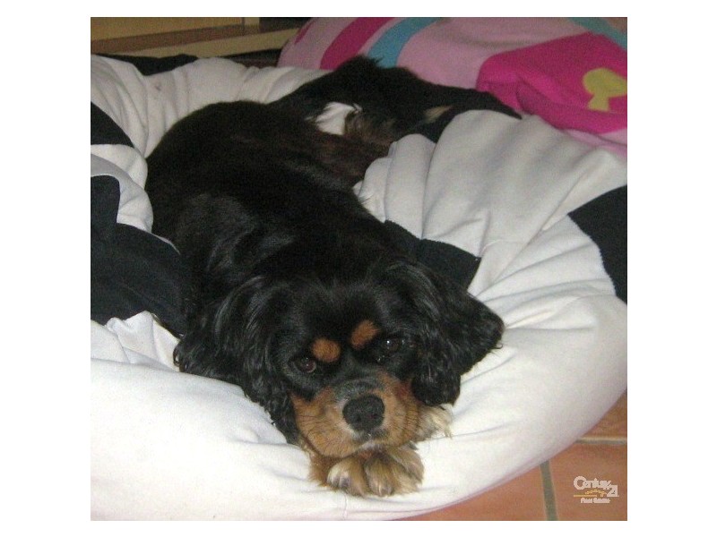 Redland Bay QLD 4165