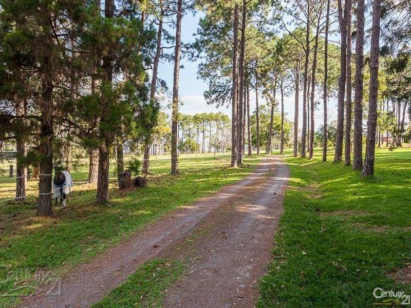 98 Woodlands Drive, Thornlands QLD 4164