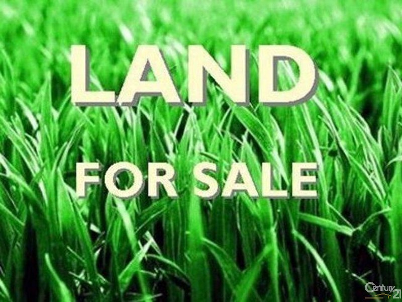 14 Cypress Street, Redland Bay QLD 4165