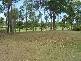 Sanctuary Cove QLD 4212