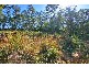 41 Dunamis Court, Cornubia QLD 4130