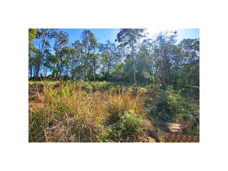 41 Dunamis Court, Cornubia QLD 4130