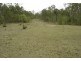 Baffle Creek QLD 4674