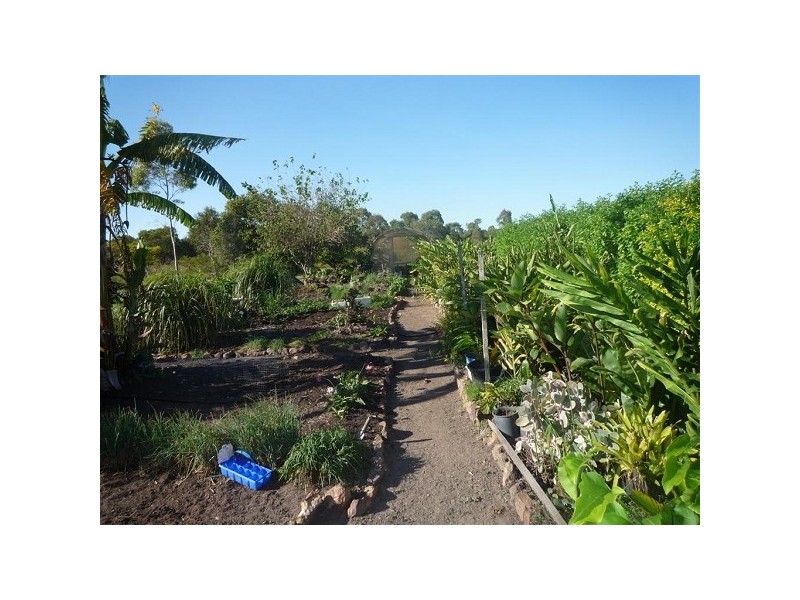Bundaberg QLD 4670