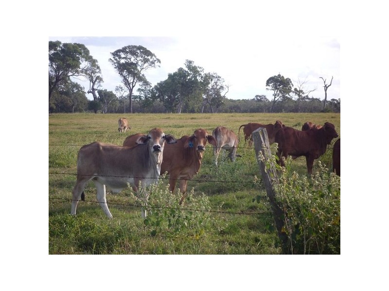 Baffle Creek QLD 4674