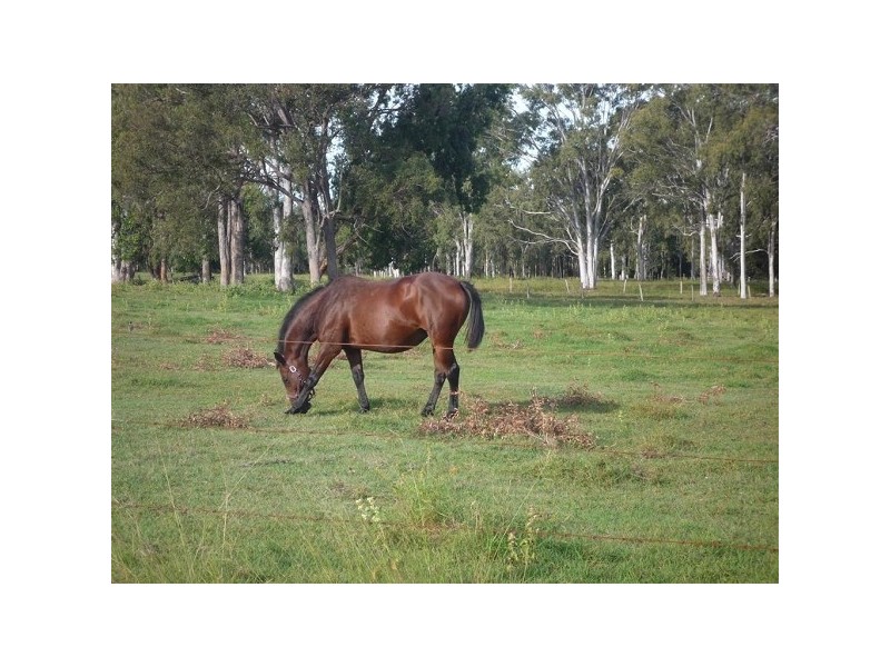 Baffle Creek QLD 4674