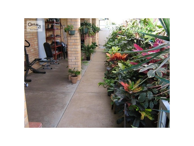 14 Wainwright Street, Svensson Heights QLD 4670