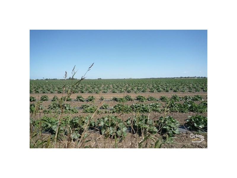 Woongarra QLD 4670