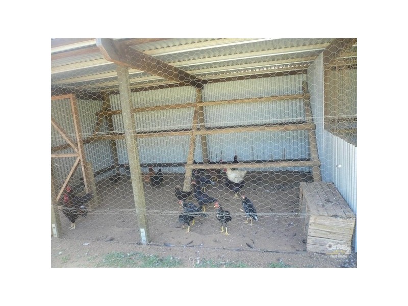 Pine Creek QLD 4670