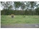 Lot 41 Tanderra Drive, South Kolan QLD 4670