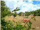 15 Leilani Court    off Pharlap Pde, Branyan QLD 4670