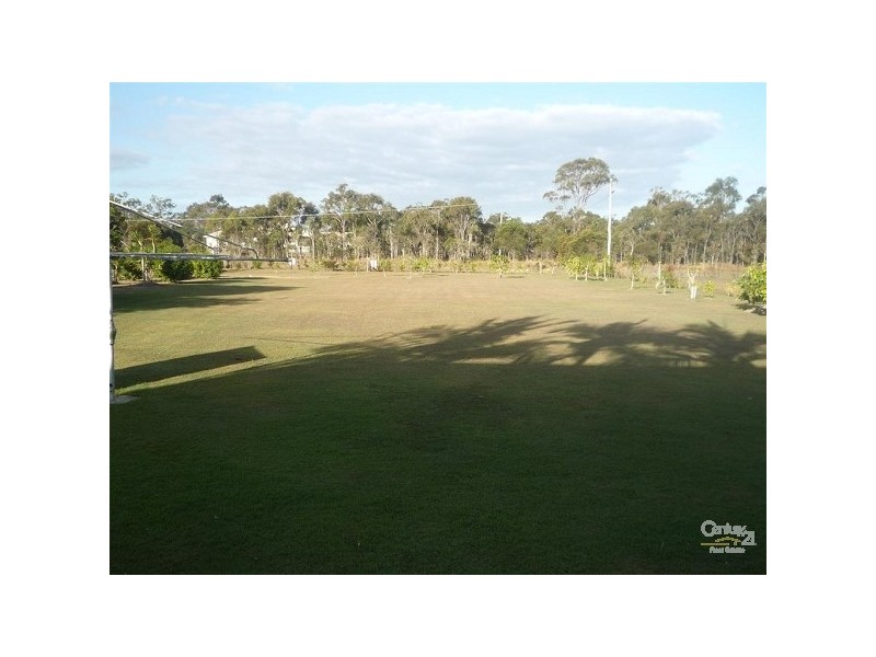 9 Black Beauty Court, Kensington QLD 4670