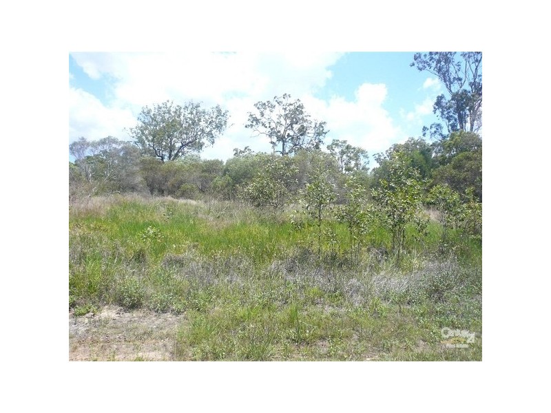 64 Palm Springs Drive, Calavos QLD 4670