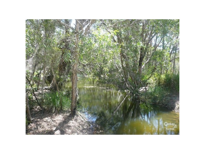 64 Palm Springs Drive, Calavos QLD 4670