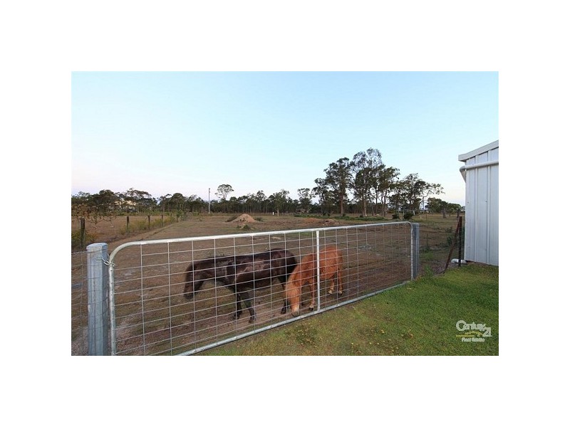 11 Black Beauty Court, Kensington QLD 4670