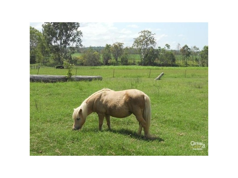 1312 Bucca Road, Bucca QLD 4670