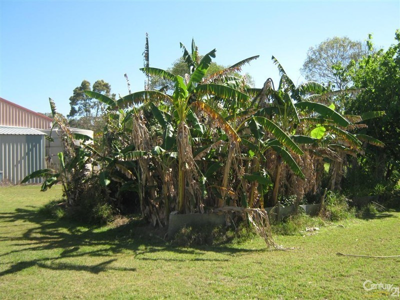 7 Gum Tree Court, Coonarr QLD 4670