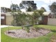 51B  Ann Street, Bundaberg East QLD 4670