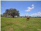 Lot 2 Luckes Road, Bucca QLD 4670