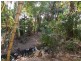 497 Gooburrum Road, Welcome Creek QLD 4670