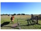 9 Rustic Road, Sharon QLD 4670