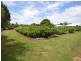 8 Gahans Road, Kalkie QLD 4670