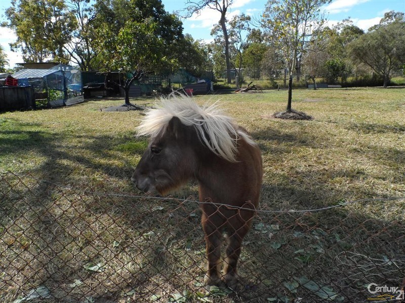 81 Pharlap Parade, Branyan QLD 4670