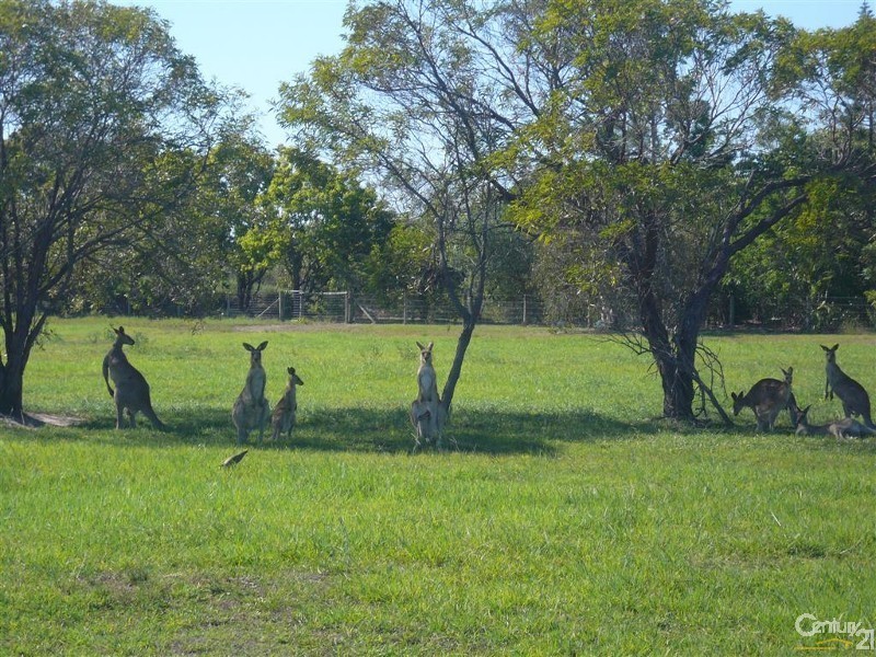 13 Rokeby Court, Branyan QLD 4670