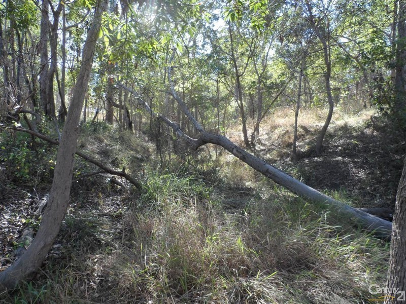 Lot 63 Tanderra Drive, South Kolan QLD 4670