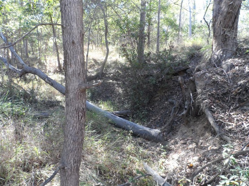 Lot 63 Tanderra Drive, South Kolan QLD 4670