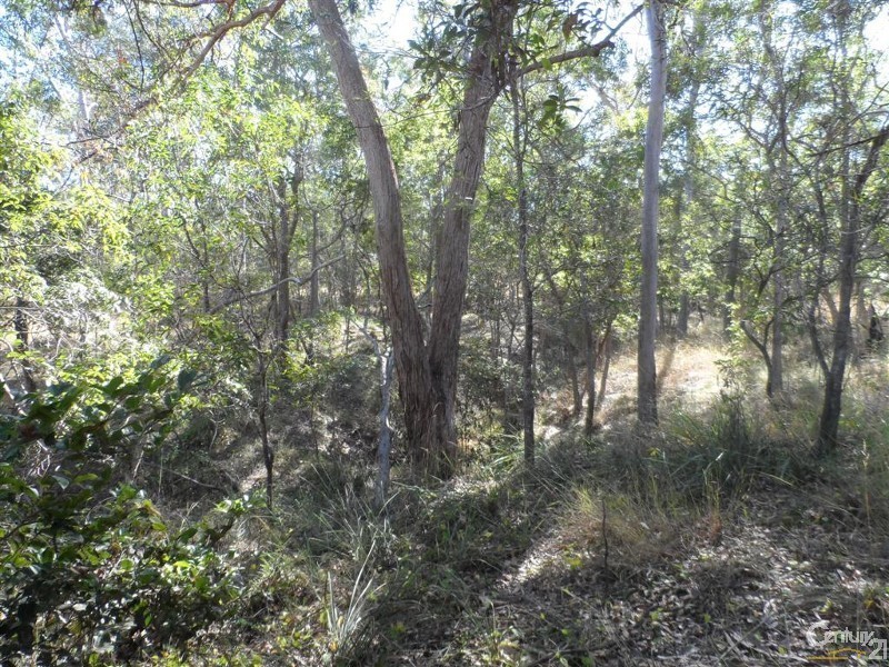 Lot 63 Tanderra Drive, South Kolan QLD 4670