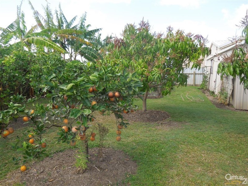 202 Fairymead Road, Bundaberg North QLD 4670