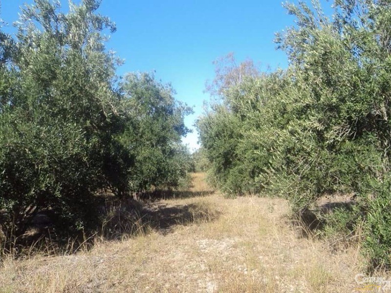 200 Woodswallow Road, Moolboolaman QLD 4671