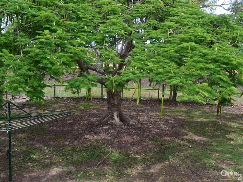 14 Maynard Street, Avenell Heights QLD 4670