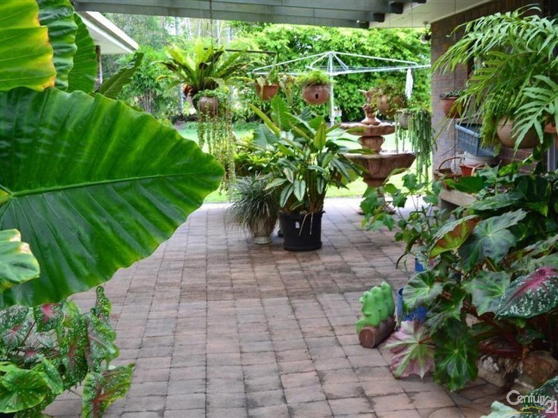 3 Bunyarra Drive, South Kolan QLD 4670