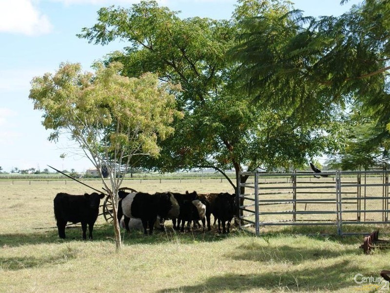 39 Paynes Road, Alloway QLD 4670