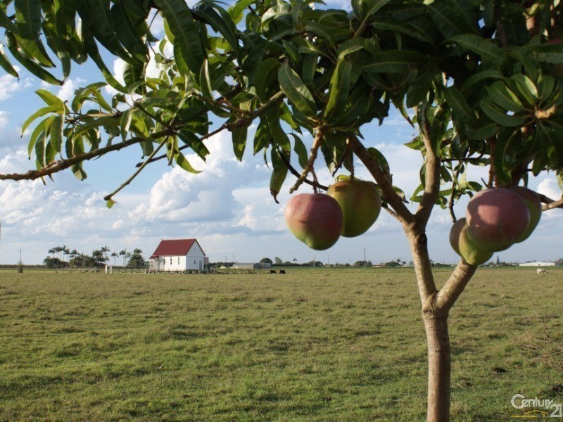 39 Paynes Road, Alloway QLD 4670