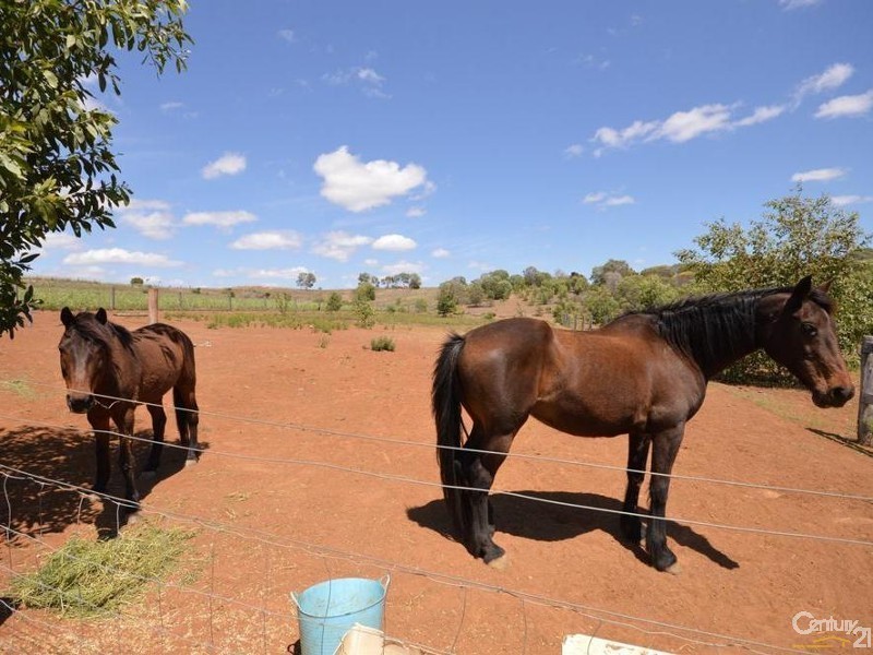 234 South Bucca Road, Bucca QLD 4670