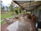 861 Bucca Road, Bucca QLD 4670