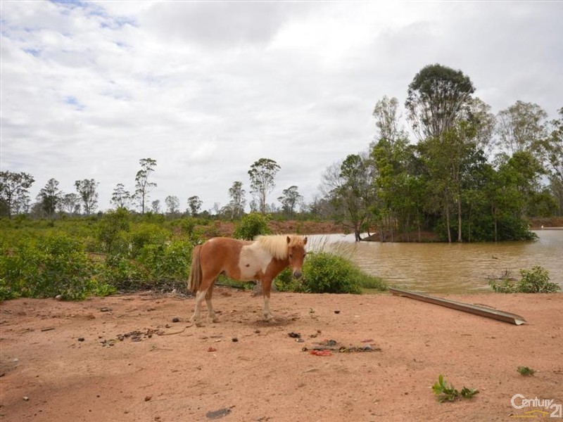 573 Bucca Road, Bucca QLD 4670