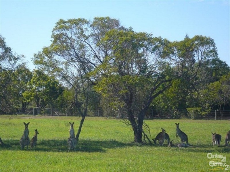 11 Rokeby Court, Branyan QLD 4670