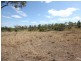 Lot59 Sully & Dowdings Road, Pine Creek QLD 4670