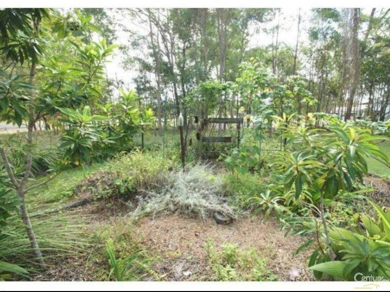 2377 Bucca Road, Bucca QLD 4670